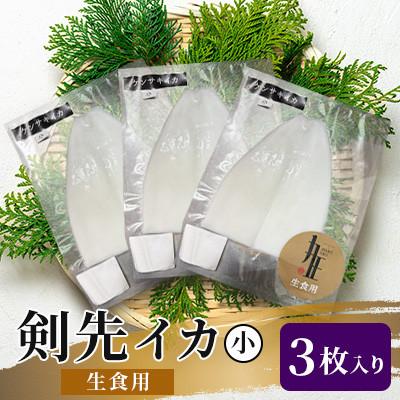 ふるさと納税 壱岐市 剣先イカ生食用小3枚入