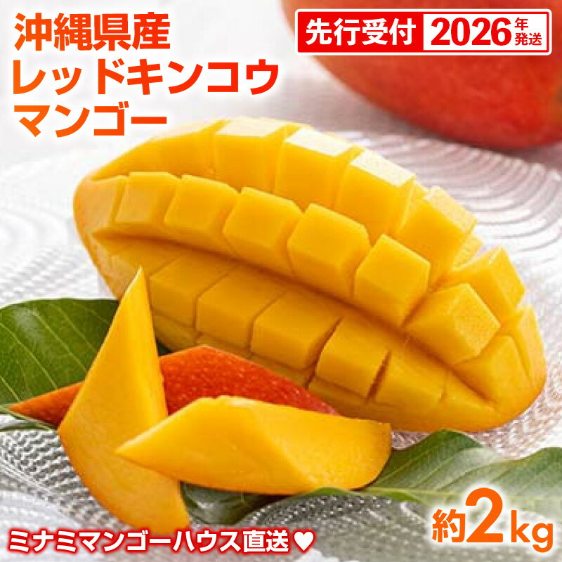 【ふるさと納税】【先行受付】【2026年発送】ミナミマンゴーハウスの赤金煌(レッドキンコウ）マンゴー約2kg