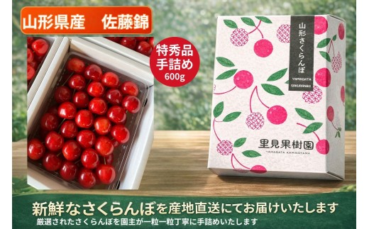 さくらんぼ（佐藤錦）６００ｇ　特秀品　手詰め　0079-2604
