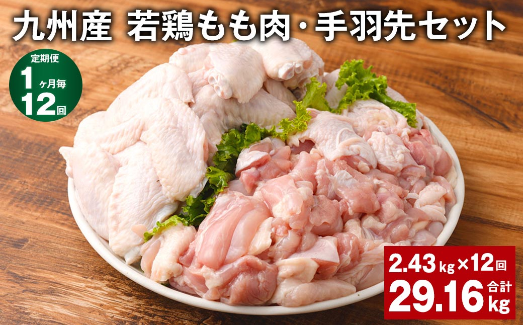 
【1ヶ月毎12回定期便】 九州産 若鶏もも肉・手羽先セット 計約29.16kg（約2.43kg✕12回） 鶏肉 もも肉 手羽先
