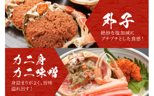 【期間エリア限定！】厳選！絶品！ 釜茹で セイコ蟹5杯 海鮮 かに カニ 蟹 セイコ蟹 セコガニ せこ蟹 ズワイガニ ズワイ蟹 コッペ ボイル 海産物 魚介類 ふるさと納税 カニ ふるさと納税 セイコ