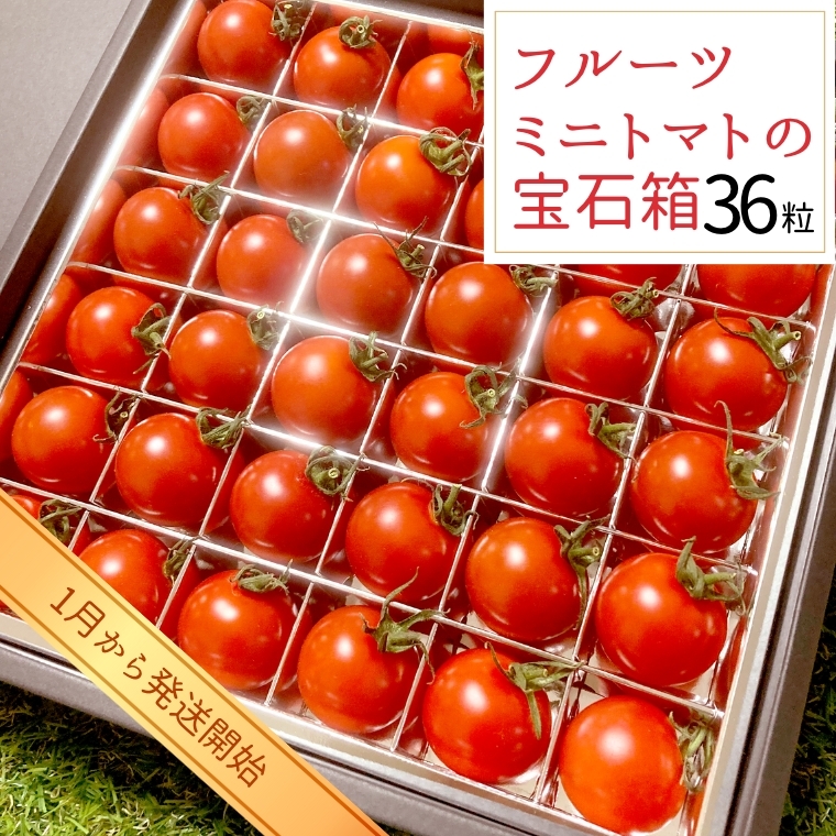 フルーツミニトマトの宝石箱 36粒 【1月から発送開始】 野菜 トマト フルーツ ミニトマト フルーツ [BI341-NT]_イメージ1