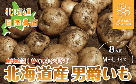 【先行予約 令和7年9月発送】北海道産じゃがいも「男爵」8kg NAZ005