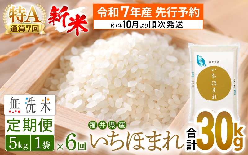 【新米・先行予約】令和7年産 無洗米 定期便 6回 いちほまれ 5kg × 6回（計30kg）特A 通算7回！福井県産【お米 コメ kome 6ヶ月連続 計30キロ 精米 白米 便利 時短】【令和7年10月より順次発送予定】 [e27-j007]