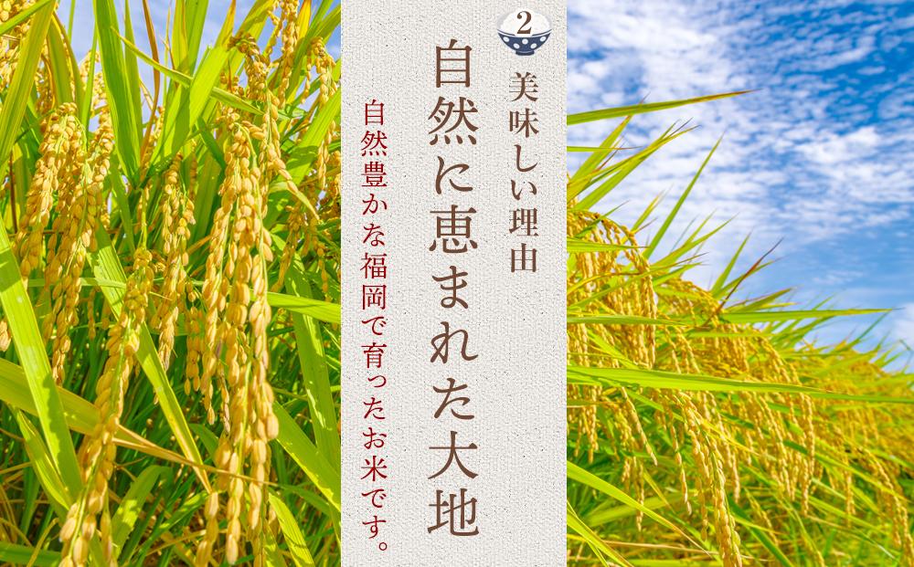 【新米】【令和6年産】 福岡県産 米 夢つくし 15kg セット ( 5kg×3袋 )