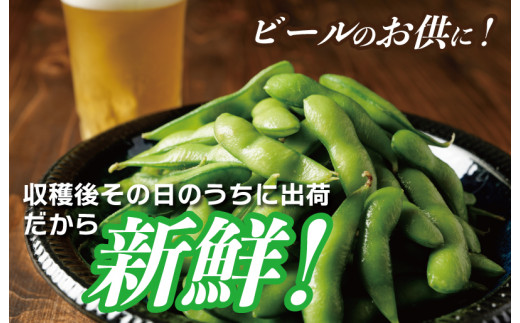 【先行予約】新鮮枝豆（栄錦）合計1kg（200g×5）【小分け 野菜 泉佐野産 やさい 高評価 数量限定 栄錦 大阪 泉佐野 大阪府 泉佐野市】