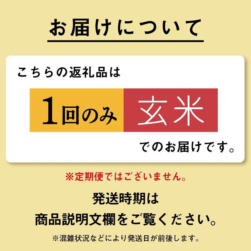 《先行予約》 玄米 令和8年産 あきたこまち 20kg 玄米