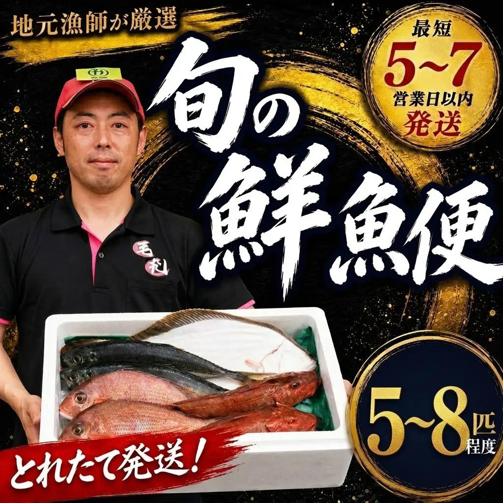 鮮魚便 獲れたて 5～8匹 刺し身 ＼ 刺し身 ／