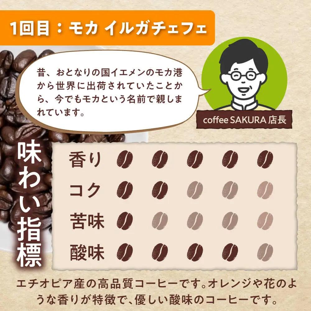 【全3回定期便】世界のコーヒー豆 おためし便(粉) / 珈琲 コーヒー / Coffee SAKURA[BBAB155]