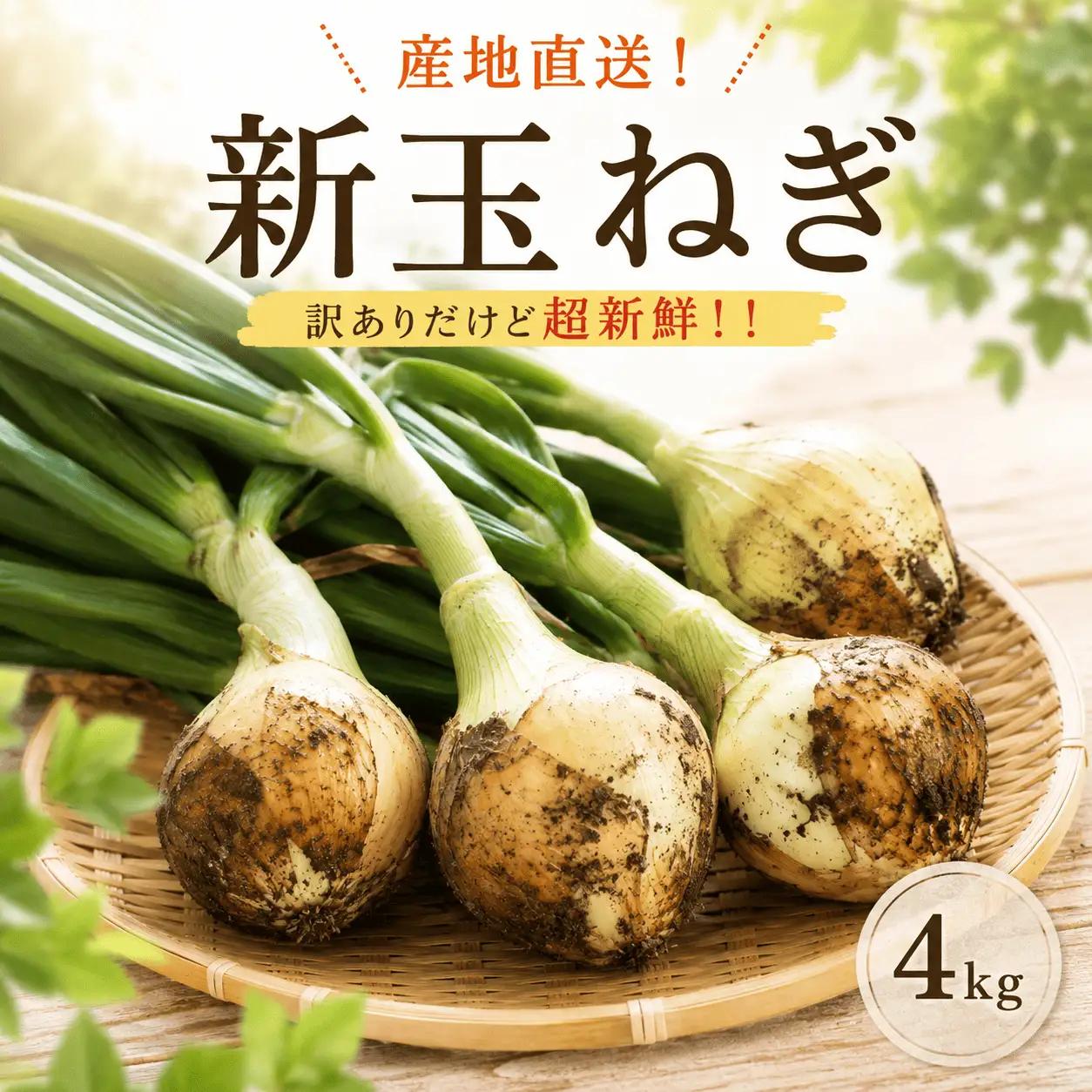 令和9年3月下旬出荷 訳あり新たまねぎ4kg【先行受付】