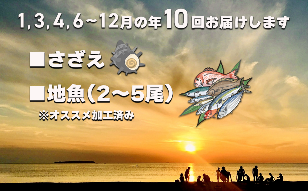 【年10回】お魚よかろうもん！玄界灘・福津の地魚お楽しみ定期便【冷凍】【随時開始】[H7014]