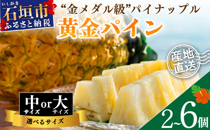 
            【大きさと数量が選べる】先行予約《2025年夏季 順次発送》黄金パイン大玉2～6個入 計3.0～9.0kg または 中玉黄金パイン2～6玉 約2.6～7.8kg
          