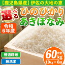 【ふるさと納税】【定期便6回】選べる精米方法！令和6年産 鹿児島県伊佐南浦産 ひのひかり5kg・あきほなみ5kg (合計60kg・計10kg×6ヵ月) 国産 白米 精米 無洗米 伊佐米 お米 米 生産者 定期便 ひのひかり あきほなみ ヒノヒカリ アキホナミ 新米【Farm-K】