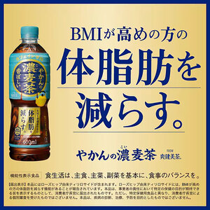 [機能性表示食品]コカ・コーラ やかんの濃麦茶 from 爽健美茶 600ml PET（24本入）　お茶　麦茶　飲料　ペットボトル