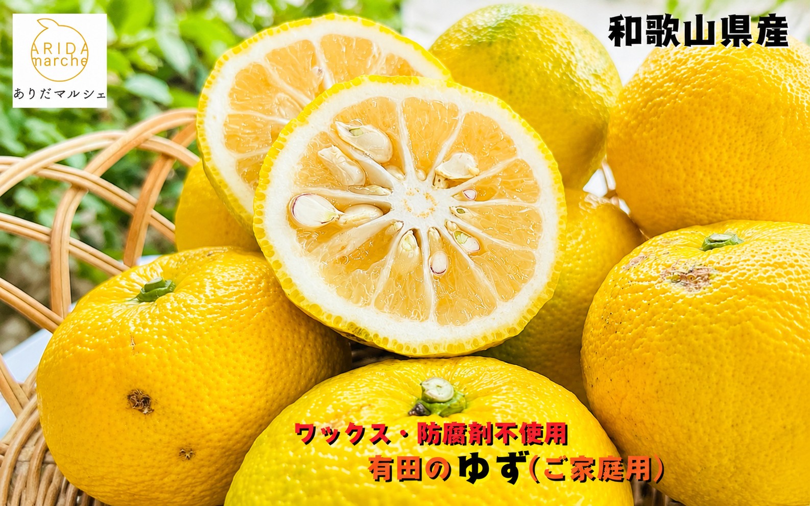 【先行予約】【国産】紀州和歌山のご家庭用訳あり 柚子（ゆず）1kg+200g(傷み補償分) ※2026年10月下旬～2027年1月下旬頃に順次発送 ※北海道・沖縄・離島への配送不可【ard079A】