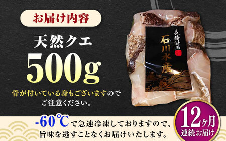 【全12回定期便】【 対馬産 】 天然 クエ 500g （身のみ）《対馬市》【石川水産】 鍋 水炊き 鮮度抜群 海鮮 クエ 天然クエ[WAB020]