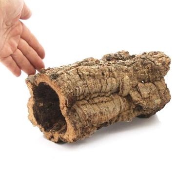 ふるさと納税 邑楽町 形状お任せ 筒型コルク Sサイズ 長さ15cm エアプランツ|09_chm-cl0101ba |  | 03