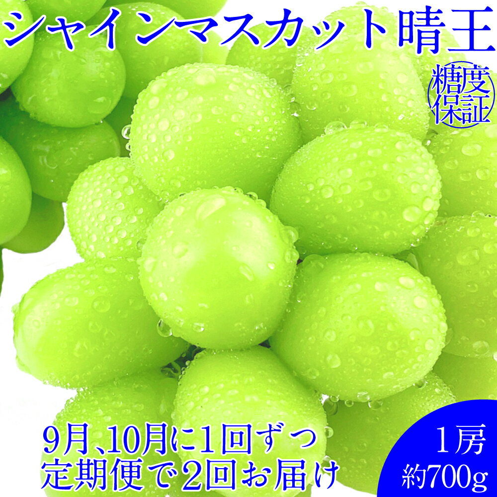 【ふるさと納税】晴王 シャインマスカット晴王 1房 約700g 岡山県産 種無し 皮ごと食べる みずみずしい 甘い フレッシュ 糖度保証 クール発送 瀬戸内 晴れの国 おかやま 果物大国 満天フルーツ ぶどう 送料無料 【先行予約：2026年9月上旬～10月下旬発送予定 2回定期便】