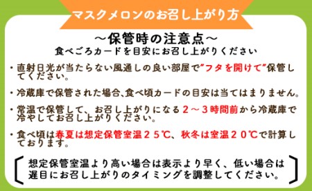 一果相伝マスクメロン2玉入り - フルーツ メロン 果物 デザート tn-0012