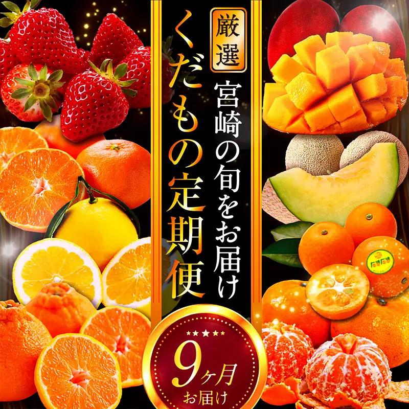 フルーツ 定期便 フルーツ [青果店厳選 くだもの 果物 Vol.1 全9回]