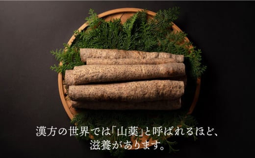 【選び抜いた「粘り」と「香り」】先行予約！自然薯「九千部朱薯」600?〜650?（2本）＜株式会社九千部＞那珂川市 [GAZ001]