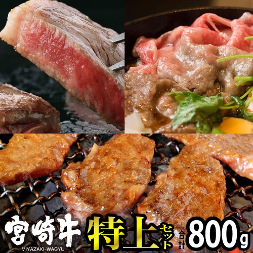 宮崎牛 特上セット 800g 【肉 牛肉 黒毛和牛 肉質等級4等級以上 5等級 A4ランク A5ランク 精肉】 宮崎県川南町