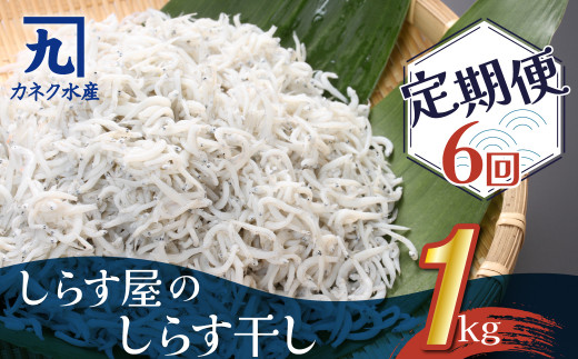 
しらす屋のしらす干し　１kg×6ヶ月　定期便　H006-087
