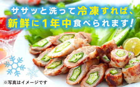 【☆先行予約☆】 【朝採れ旬野菜】オクラ 約1kg ＜パッパラパー農園＞ [CFI001]