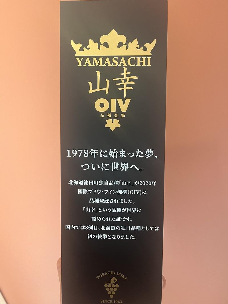 十勝ワイン いけだワイン城おすすめ 3種飲み比べセット 赤ワイン 山幸 白ワイン シャルドネ スパークリング ブルーム白 北海道ワイン 北海道 池田町