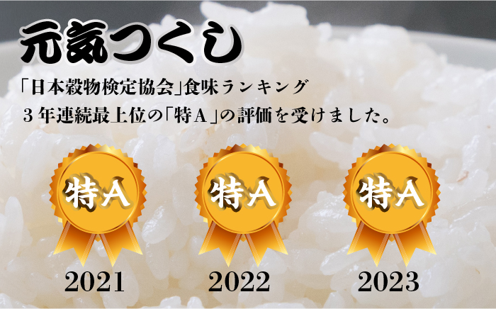 【先行予約】【全3回定期便】福岡県産【特A米】元気つくし【A米】夢つくしの食べ比べ 各5kg×2袋 [10kg] [白米]【2024年11月下旬以降順次発送】《築上町》【株式会社ベネフィス】 [ABDF124] 精米 米 ご飯 ごはん こめ コメ 61000円 6万1千円