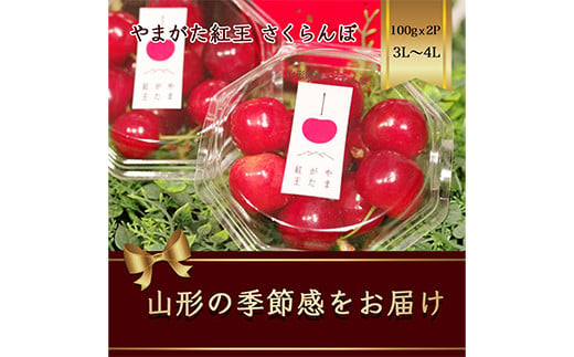 
            やまがた紅王 さくらんぼ 3L～4L100g×2パック入 【2025年6月から発送】 FSY-1165
          