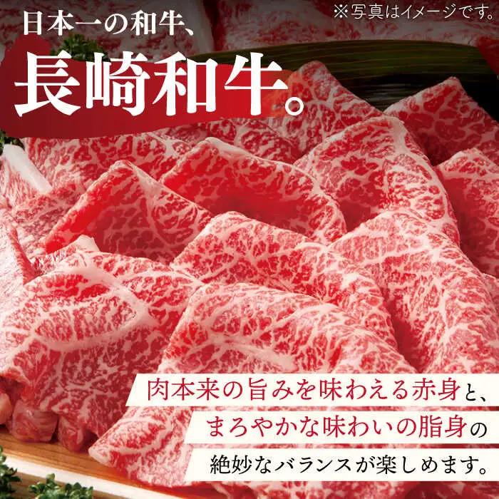 【大自然の贈り物！】長崎和牛 切り落とし 約800g【ながさき西海農業協同組合】[QAK009]