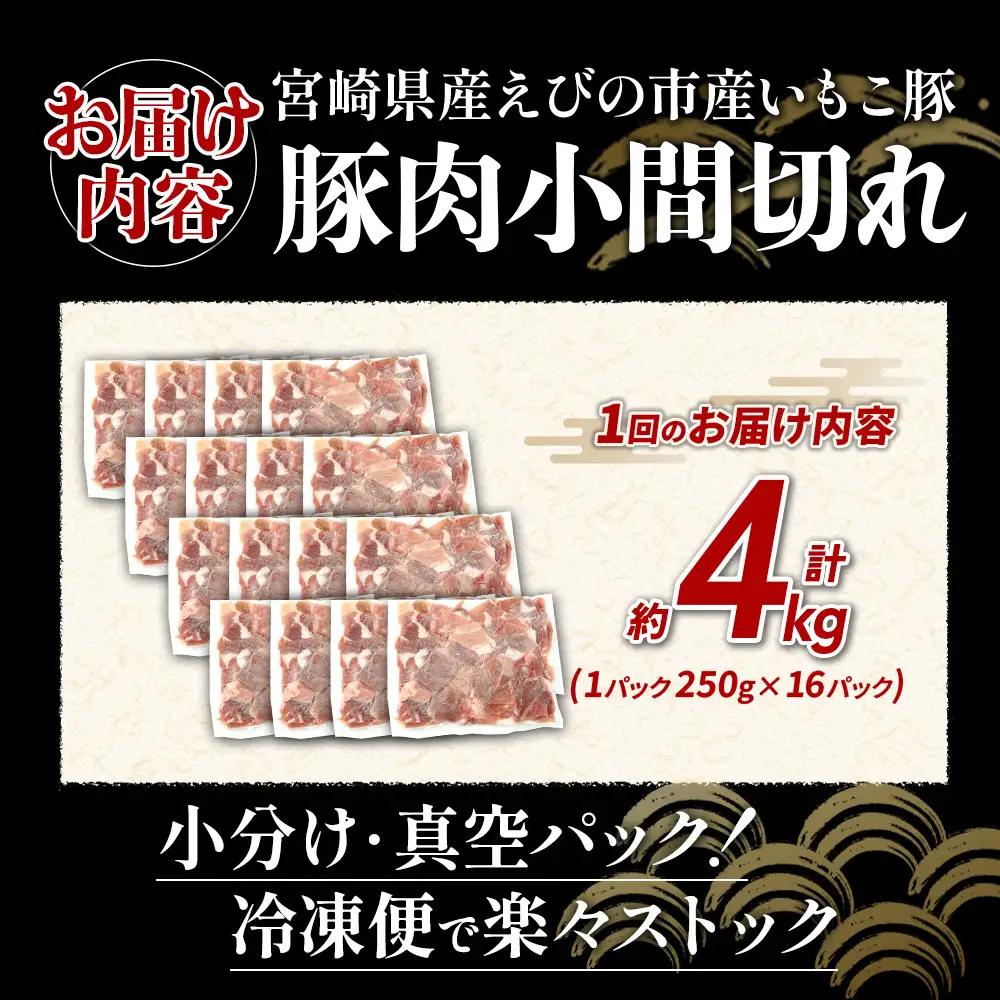 定期便 6回お届け 宮崎県産 いもこ豚 小間切れ 4kg (250g×16パック) 真空パック 小分け 豚肉 えびの市