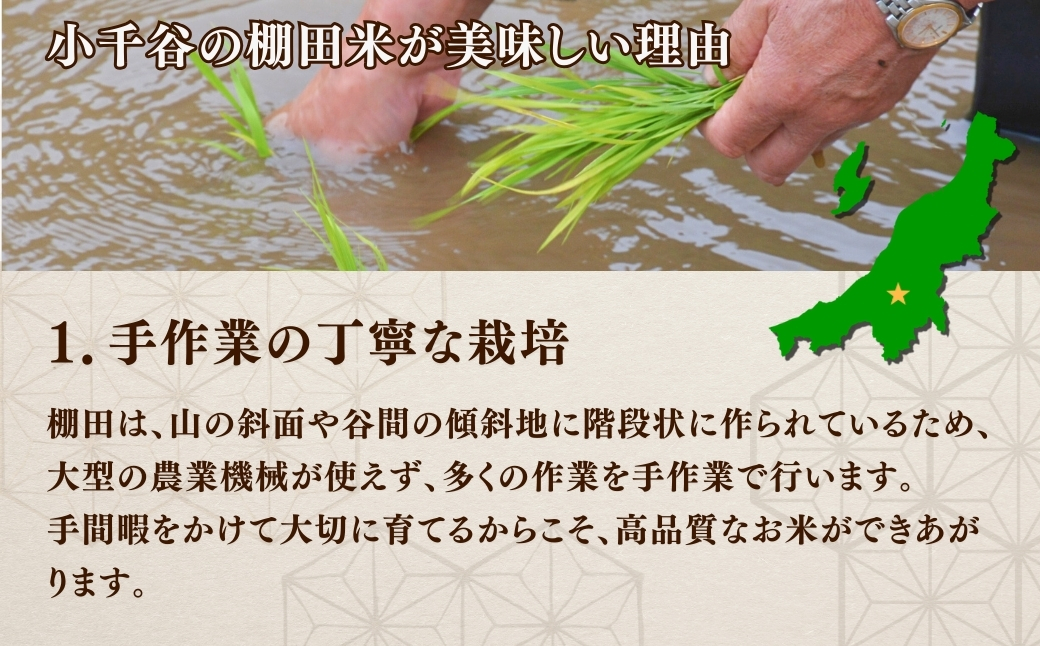 令和7年産 魚沼産コシヒカリ おぢや棚田米コンテスト入賞者の栽培した棚田米 精米5kg（5kg×1袋）【0002-RC01-02】