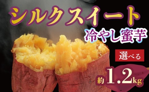 焼き芋 蜜芋 冷蔵 シルクスイート 約1.2kg 芋 さつまいも おいも お芋 やきいも サツマイモ おやつ スイーツ デザート コグマ ダイエット 低GI 食物繊維  香川県 丸亀市 配送：11月下旬～