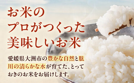 お米 ヒノヒカリ 3kg 白米 3kg [AGAV025]