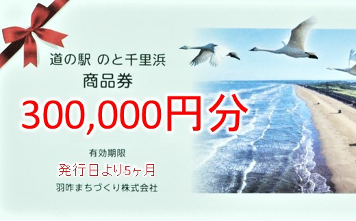 
[G053] 道の駅のと千里浜オリジナル商品券（300,000円）
