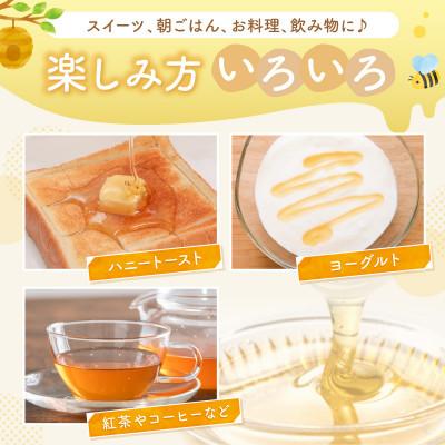 ふるさと納税 京丹後市 国産はちみつ KYOTOTANGOHONEY森の百花蜜 純粋天然はちみつ(ボトル) 300g×2本 |  | 01
