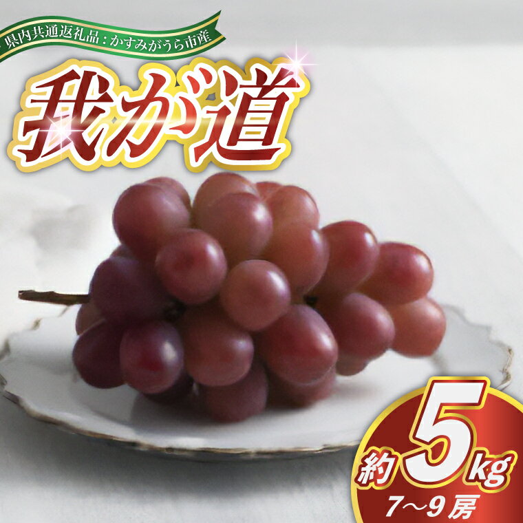 【ふるさと納税】【2025年9月より順次発送予定】我が道　約5キロ　7〜9房(県内共通返礼品:かすみがうら市産)【配送不可地域：離島・沖縄県】 (BR100)