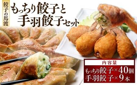 餃子の馬渡 馬渡のもっちり餃子40個と手羽餃子10本セット