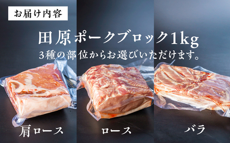 《部位選べる》国産 豚肉 ブロック 1kg ロース バラ 肩ロース 田原ポーク