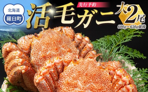 
                  【先行予約】三特 冷蔵 活毛ガニ 大２尾（600g～650g前後）(26年4月発送開始予定)
                