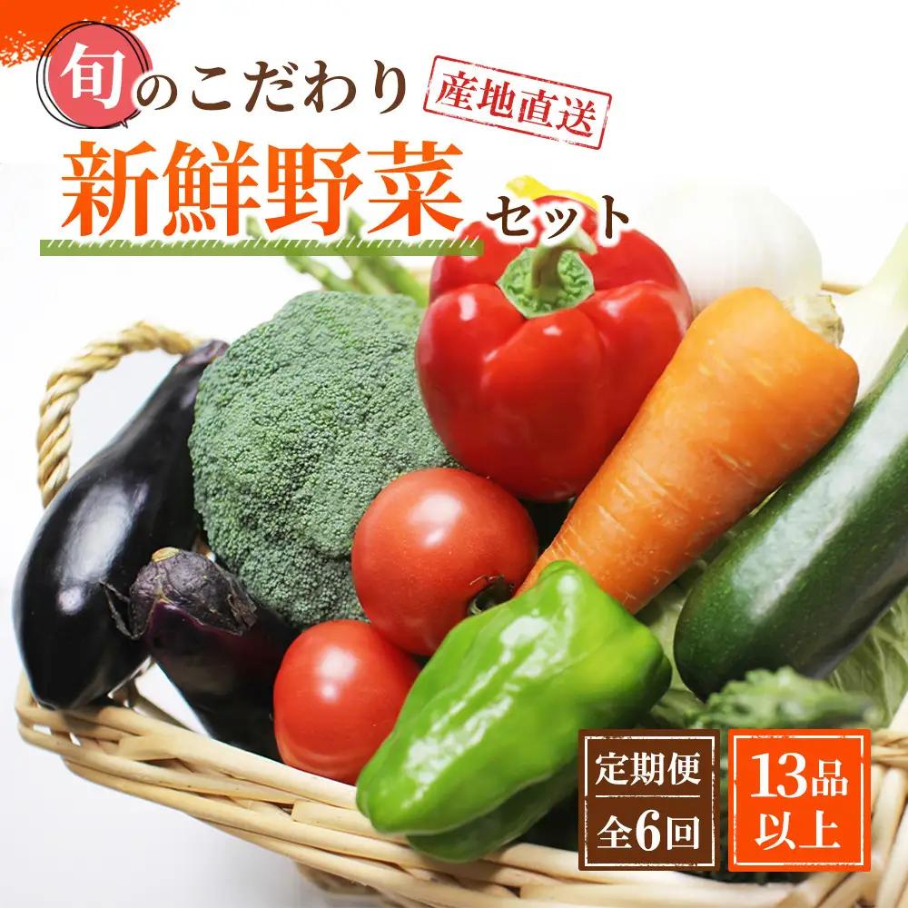 野菜セット【定期便 / 全6回：奇数月お届け】旬の新鮮野菜B（たっぷり13種類以上）