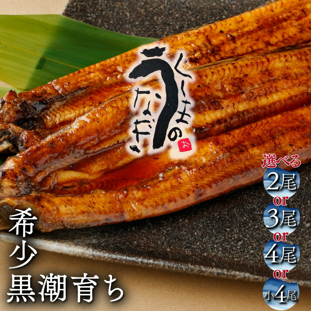 【ふるさと納税】【数量限定】選べる！くしまの黒潮うなぎ蒲焼【大田商店】【KU469】