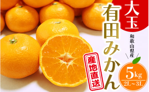 【先行予約】＼ みかんの名産地 和歌山県産／ 農家直送 大玉 有田 みかん 5kg （2L～3L）/ ミカン 果物 フルーツ 柑橘 ※2026年11月下旬～2027年1月中旬頃発送予定 【hdm004-l-5】