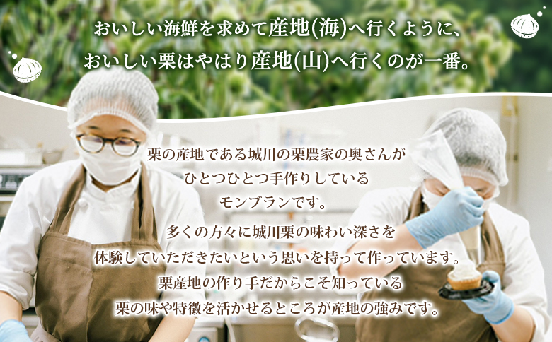 ＜城川オリジナル モンブラン 2個入り【2回定期便】＞ 洋菓子 ケーキ おかし マロン くり クリ 国産 和栗 ペースト クリーム 渋皮煮 生クリーム チーズ タルト メニークエスト 愛媛県 西予市 