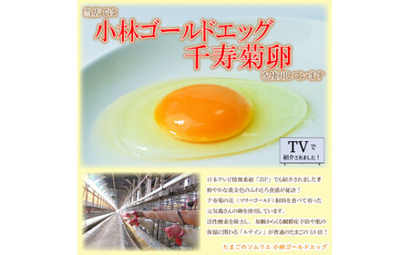 米粉 チーズケーキ 6号 小麦 バター 不使用 チーズケーキ チーズケーキ チーズケーキ チーズケーキ