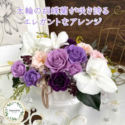ふるさと納税 春日部市 プリザーブドフラワーアレンジ【ルクール/パープル】春日部市 シュガーパイン