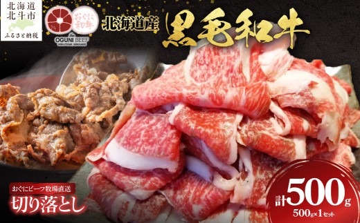 北海道産 黒毛和牛 おぐにビーフ 牧場直送 切り落とし 500g 【 ふるさと納税 人気 おすすめ ランキング 牛 牛肉 黒毛和牛 肉 おぐにビーフ 切り落とし もも モモ バラ ばら うで ウデ 牛