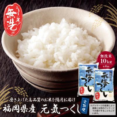 ふるさと納税 福智町 無洗米 福岡県産・元気つくし10kg定期便(隔月・年6回)